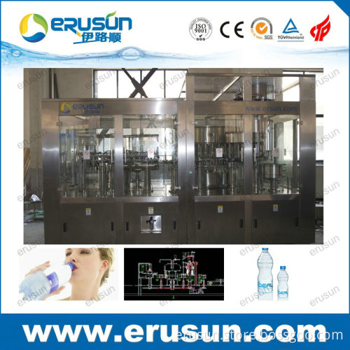 Mountain Water Bottling Machine in 600ml Pet Bottle
